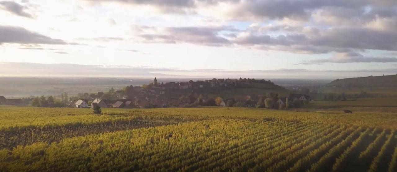 Le Vent D'Ange Villa Zellenberg Eksteriør bilde
